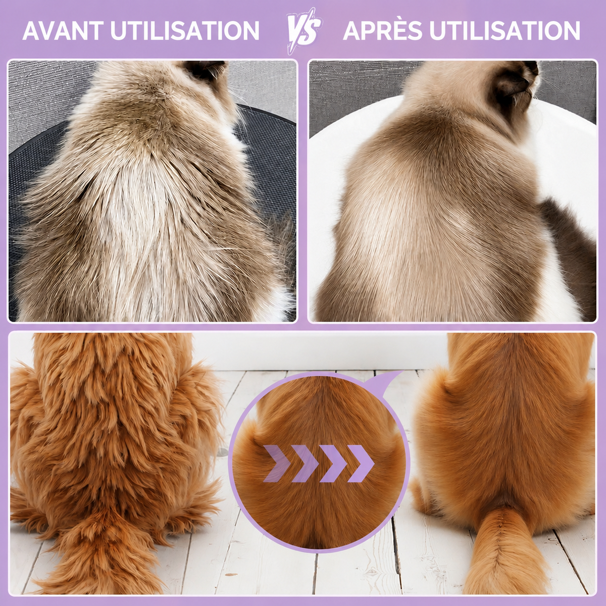Peigne Anti-Puces pour Chats & Chiens