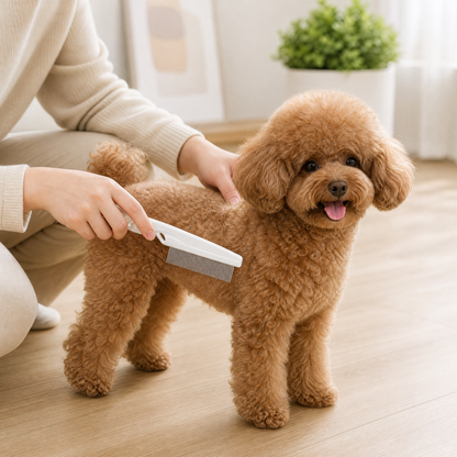 Peigne Anti-Puces pour Chats & Chiens